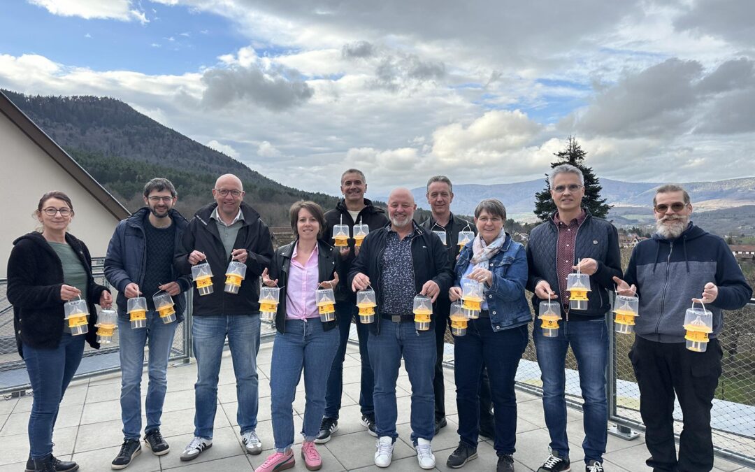 Campagne de printemps de piégeage du frelon asiatique