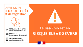 Alerte Sécheresse – Feux de forêt et végétation